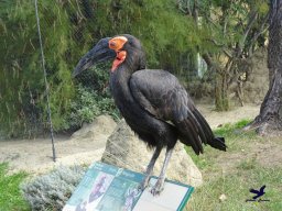 Tiergarten Schönbrunn am 20.10.2025